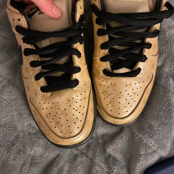 Nike trickstar dunk